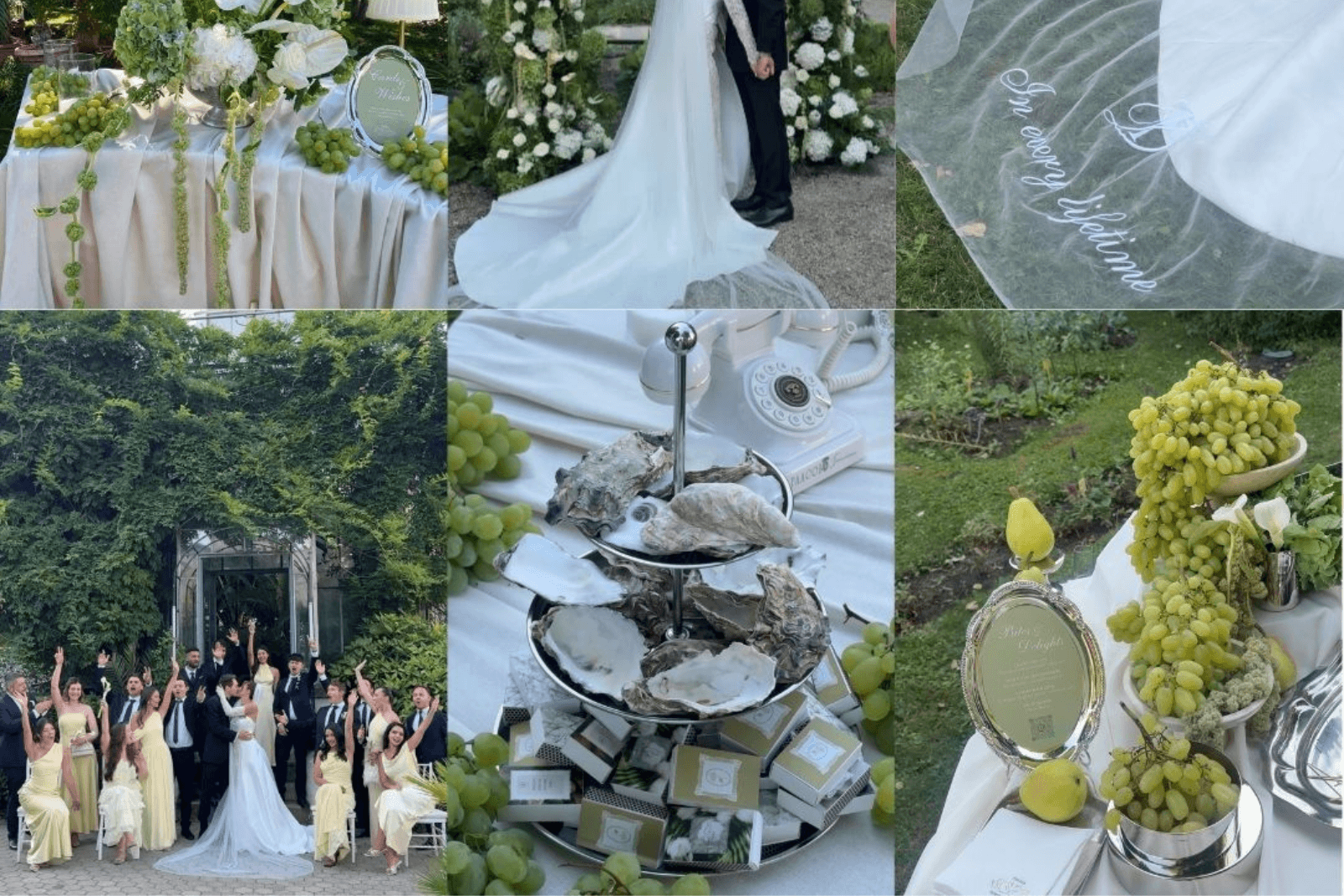 Wedding content creators in Bulgaria